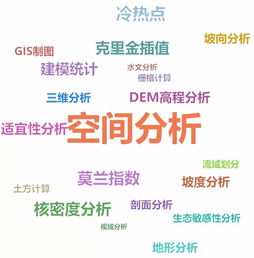 即刻开启高效数据处理之旅——小派全新推出中小型数据处理分析服务