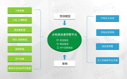 打造互联网精准农业航空服务平台的数据处理服务